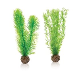biOrb Green Feather Fern