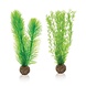 biOrb Green Feather Fern