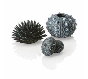 biOrb Seeigel Deko-Set Urchin Schwarz