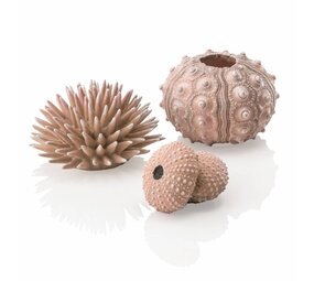 biOrb Seeigel Deko-Set Urchin Natur