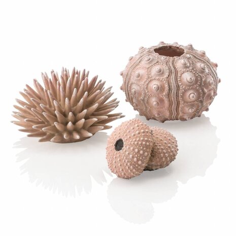 biOrb Seeigel Deko-Set Urchin Natur