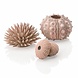 biOrb Seeigel Deko-Set Urchin Natur