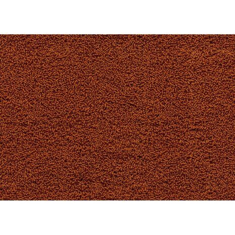 Tetra Goldfish Gold Japan 100ml