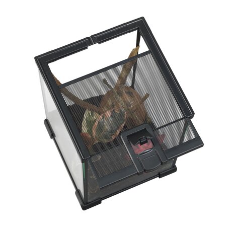 Habistat Mini Terrarium 20x20x30cm