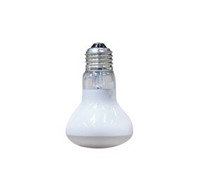 Arcadia Solar Basking Floodlight Terrarium Sonnenlichtlampe 75W