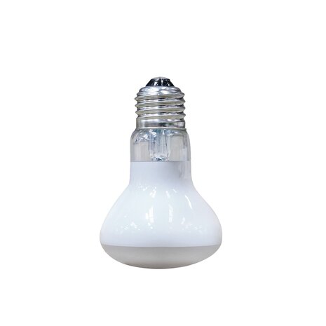 Arcadia Solar Basking Floodlight Terrarium Sonnenlichtlampe 75W