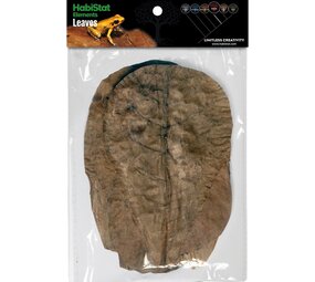 Habistat Catappa Blätter 10 Stück