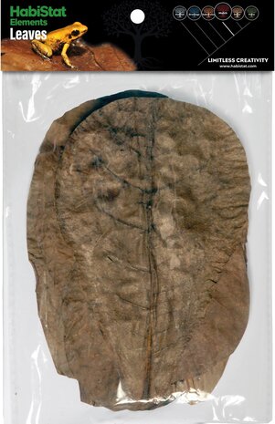 Habistat Catappa Blätter 10 Stück