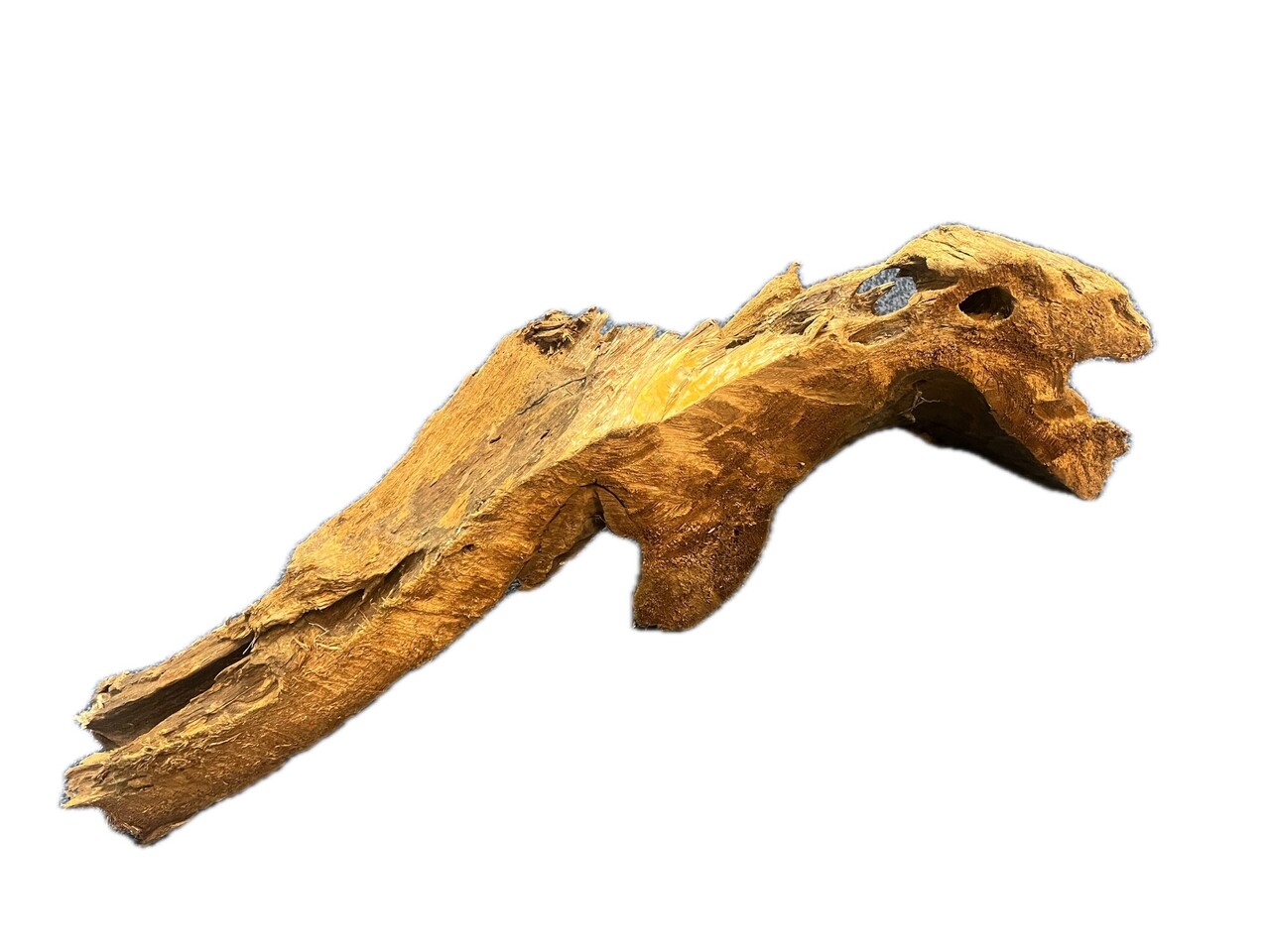 HS Aqua Mangrovenholz M (30–40cm)