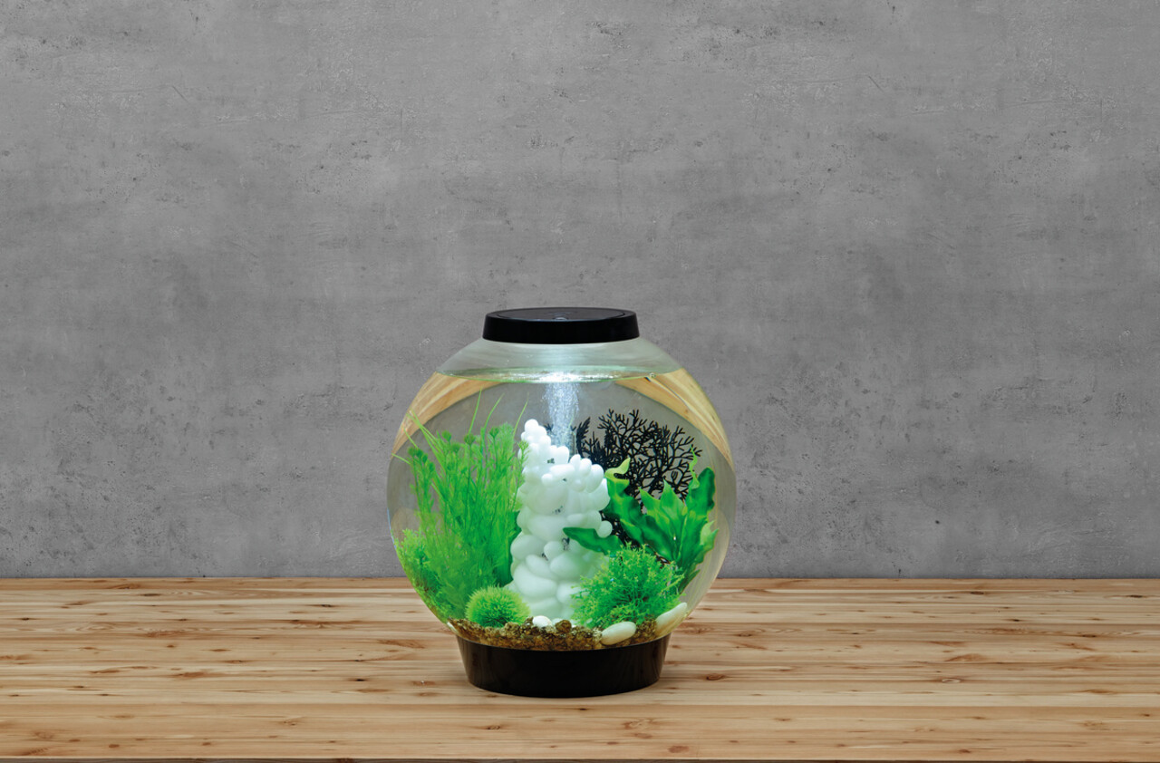 biOrb Classic 30 LED Schwarz