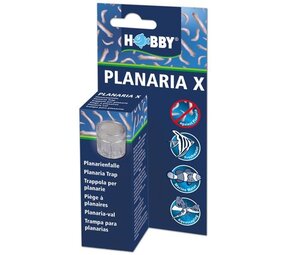 Hobby Planaria X