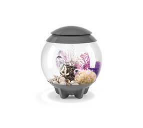 biOrb Halo 15 MCR Grau