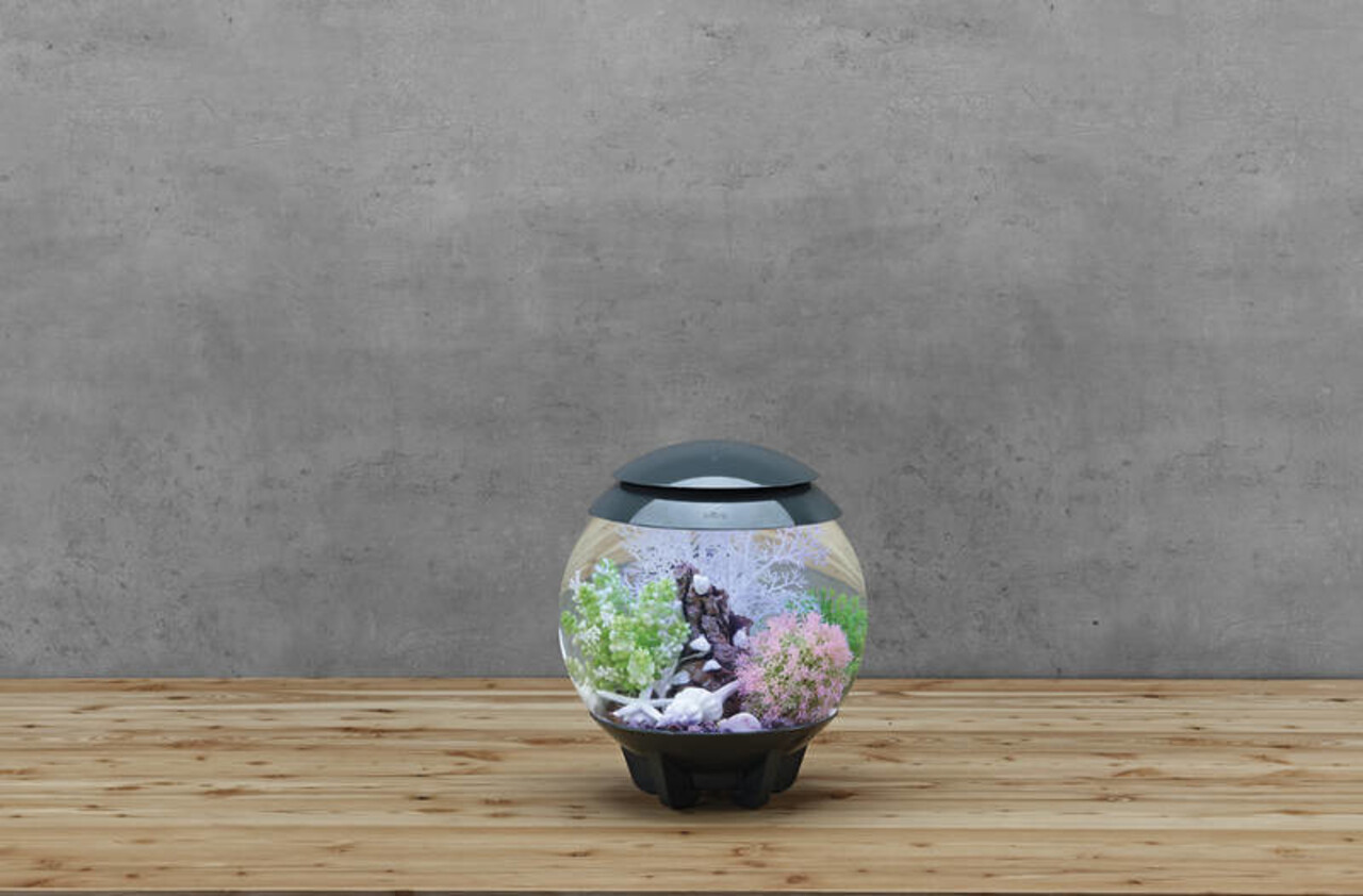 biOrb Halo 15 MCR Grau