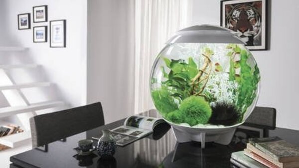 biOrb Halo 15 MCR Grau