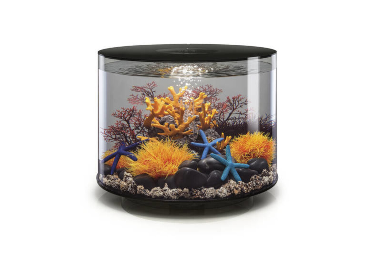 biOrb Tube 35 LED Schwarz