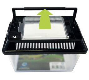 Repto Box 18x11x12cm