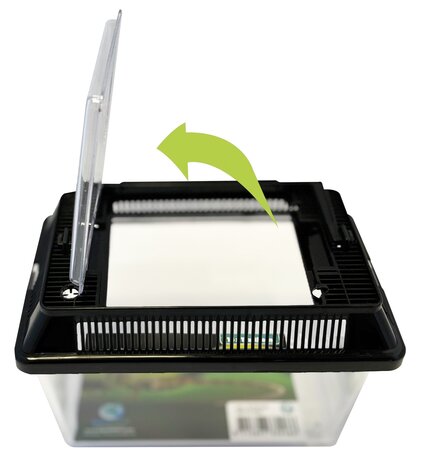 Repto Box 18x11x12cm