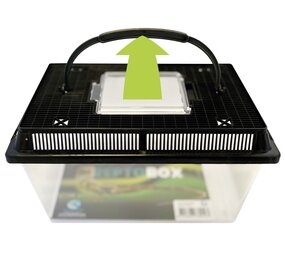 Repto Box 27x17x16cm