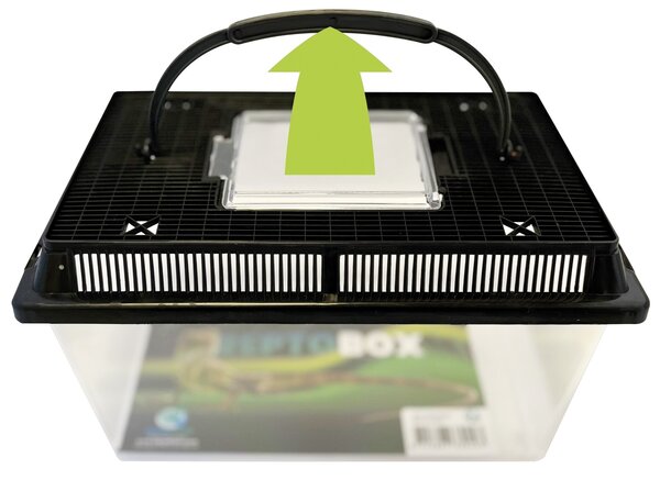 Repto Box 27x17x16cm