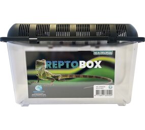 Repto Box 32,5x22x21cm