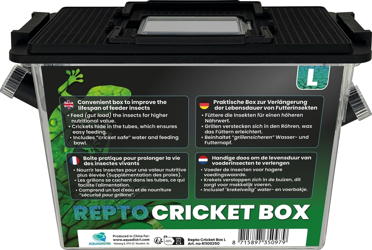 Repto Cricket Box L 30x15x20cm