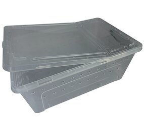 Repto Transport Box 37x24x16cm