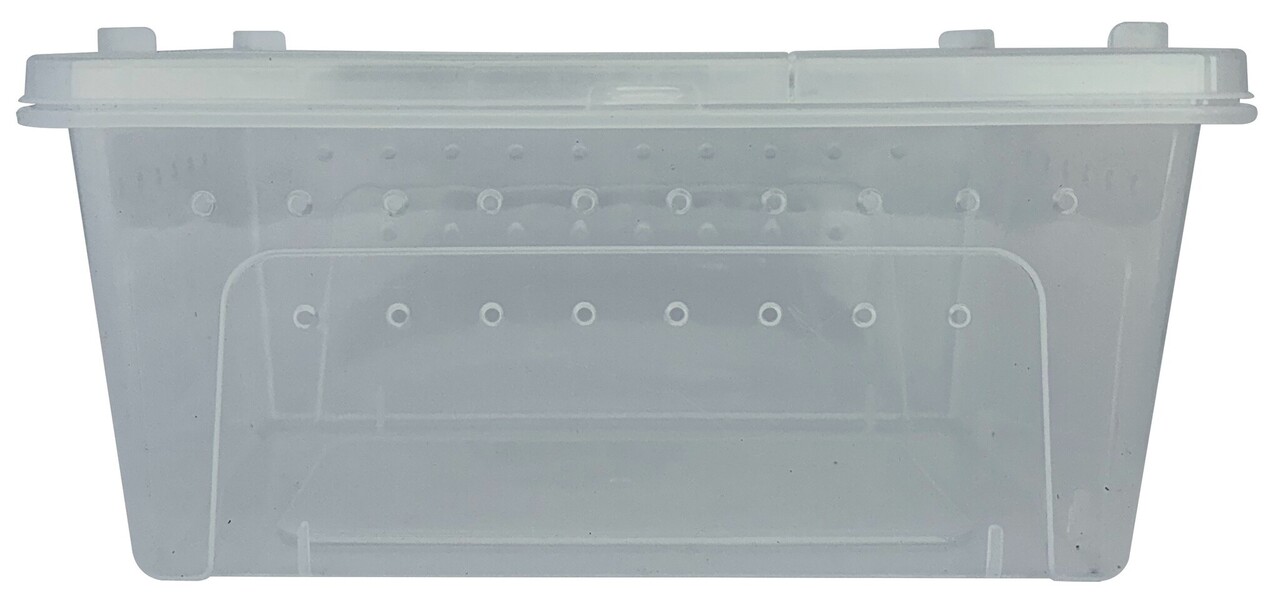 Repto Transport Box 37x24x16cm