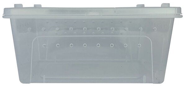 Repto Transport Box 37x24x16cm