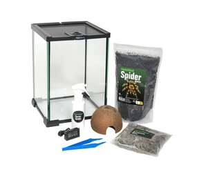 Habistat Wirbellosen Starterset