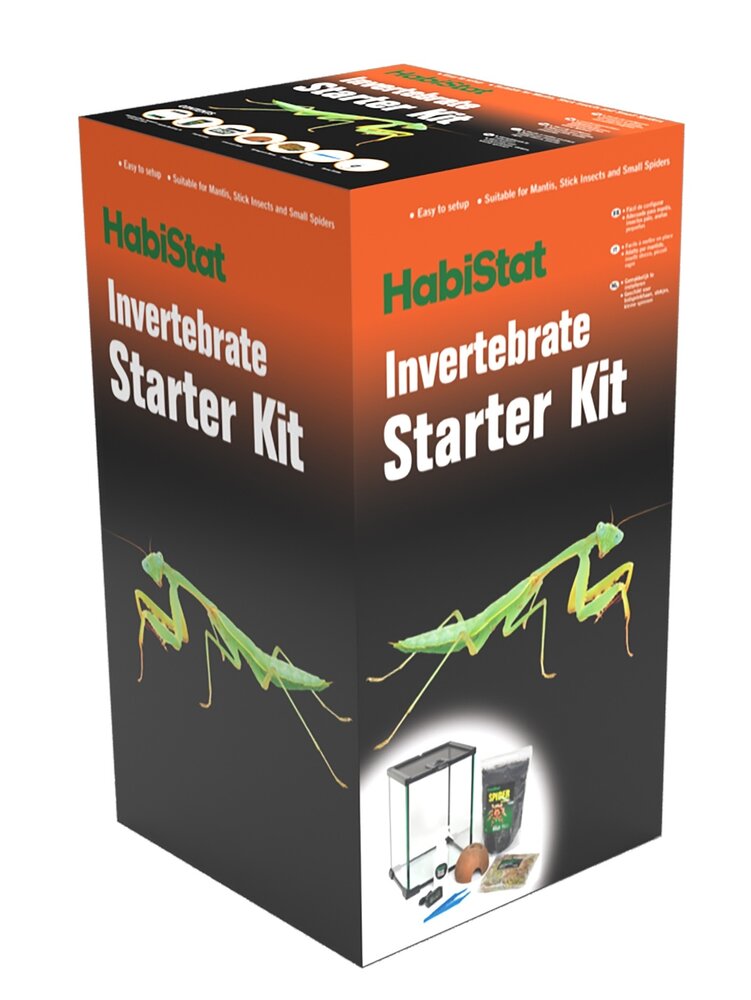 Habistat Wirbellosen Starterset