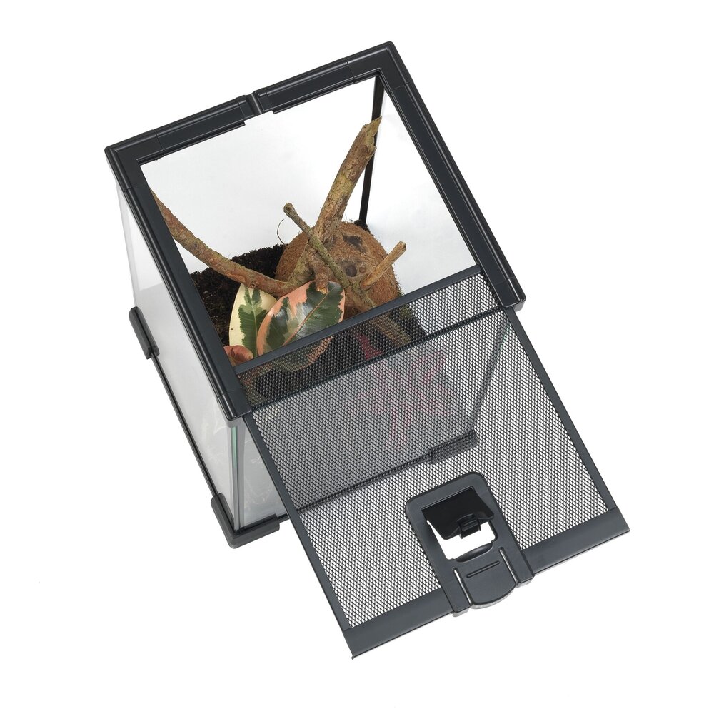 Habistat Wirbellosen Starterset