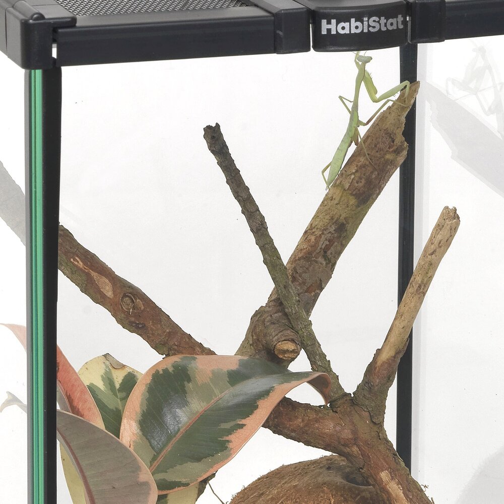 Habistat Wirbellosen Starterset