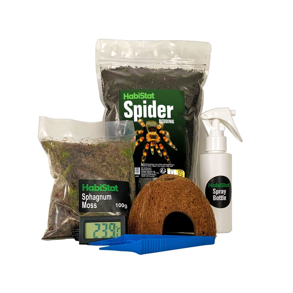 Habistat Wirbellosen Starterset