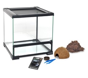 Habistat Spinnen Starterset