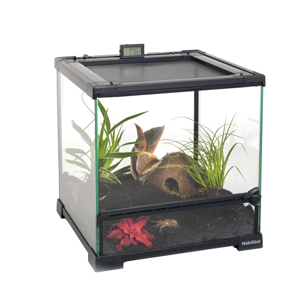 Habistat Spinnen Starterset