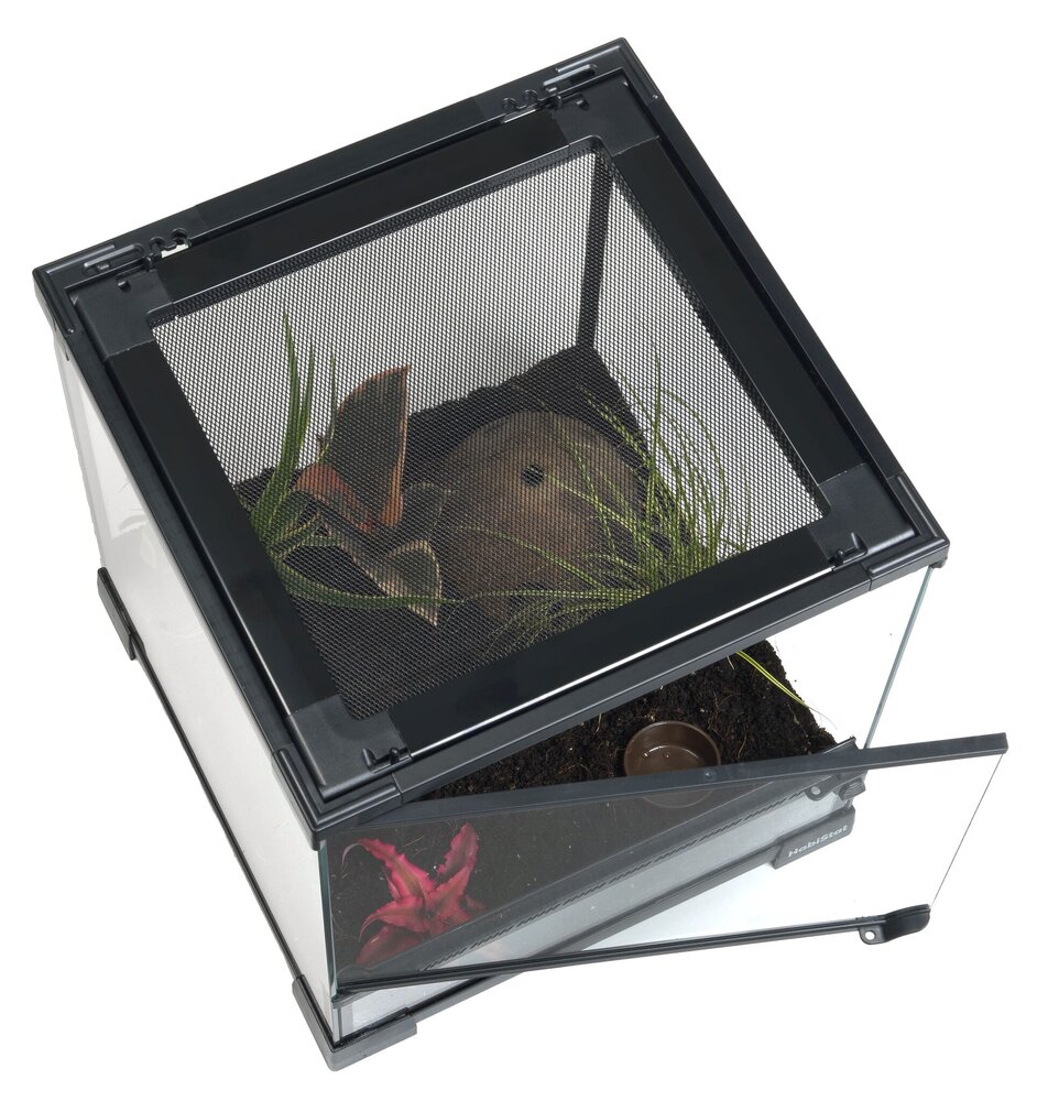 Habistat Spinnen Starterset