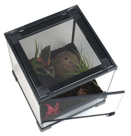 Habistat Spinnen Starterset