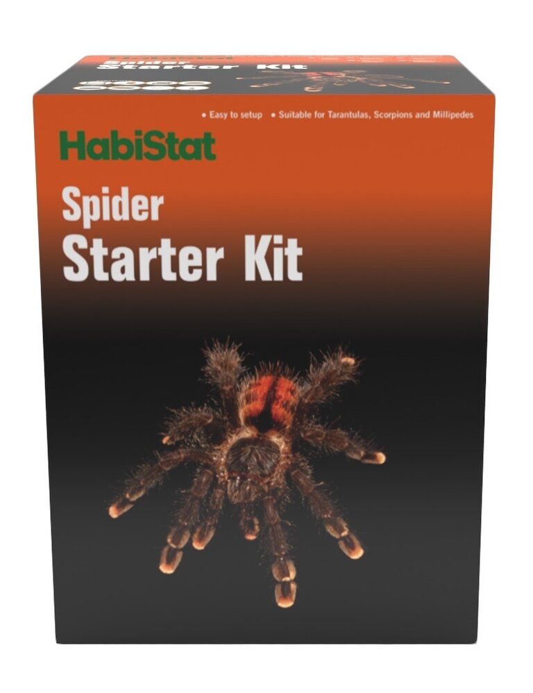 Habistat Spinnen Starterset