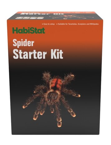 Habistat Spinnen Starterset