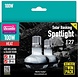 Arcadia Arcadia Spotlight Wärmelampe 100W Twin Pack