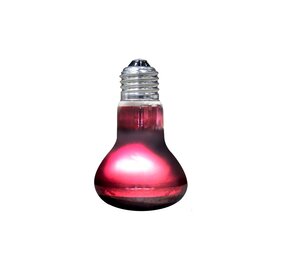 Arcadia Infrarot Basking Spot Wärmelampe 50W