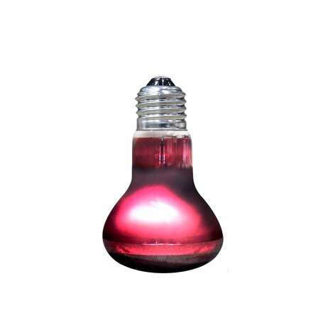 Arcadia Infrarot Basking Spot Wärmelampe 50W