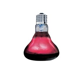 Arcadia Infrarot Basking Spot Wärmelampe 150W