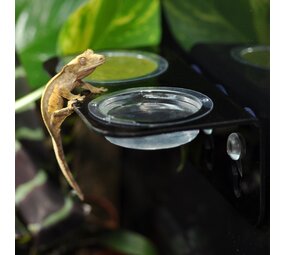 Habistat Arboreal Feeding Ledge Ersatzcups 10 Stück