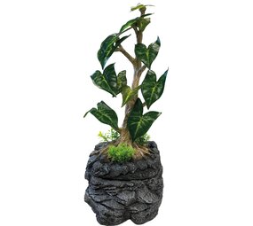 Repto Terrarium Water Dripping Tree