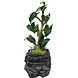 Repto Terrarium Water Dripping Tree