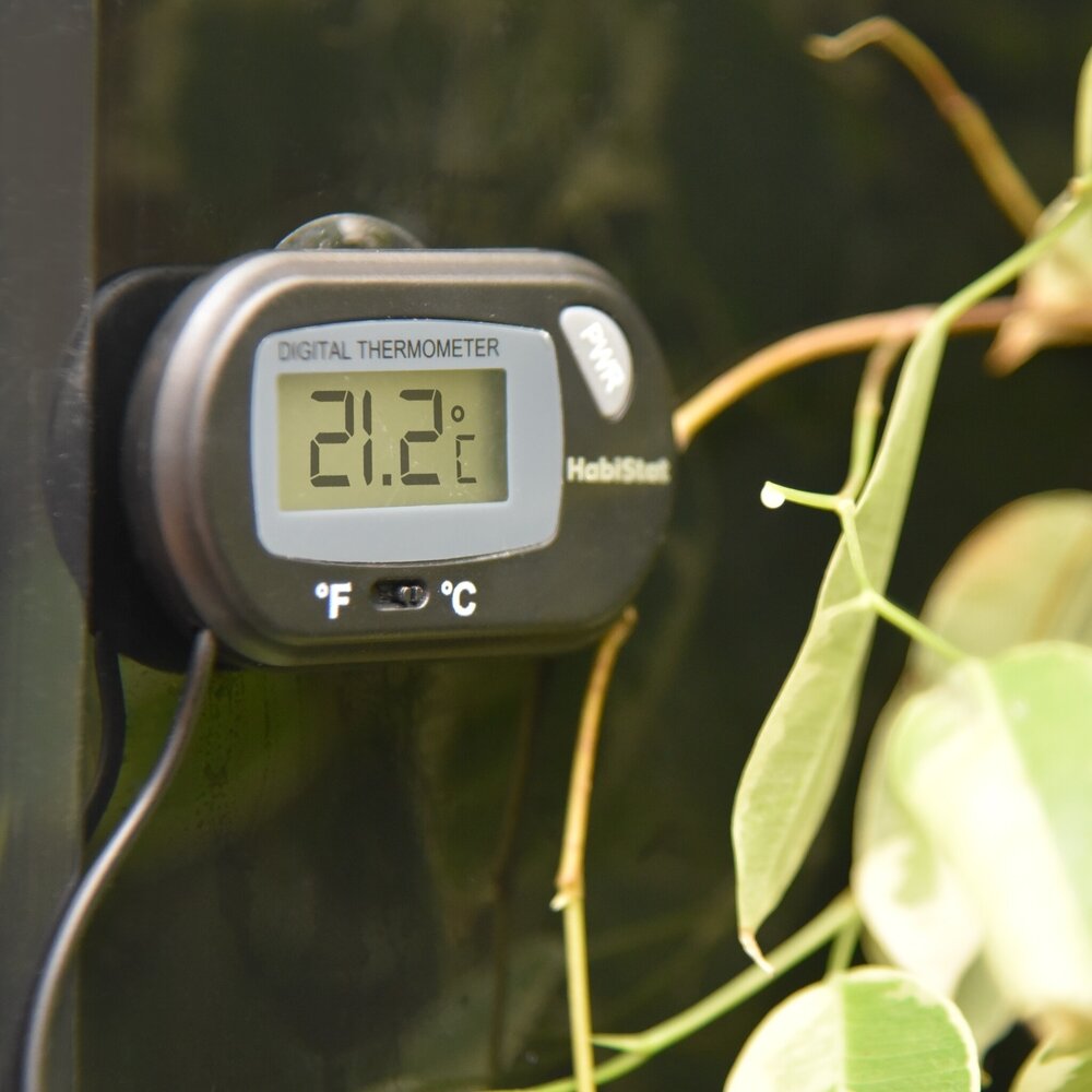 Habistat Digitales Terrarium Thermometer