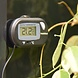 Habistat Digitales Terrarium Thermometer