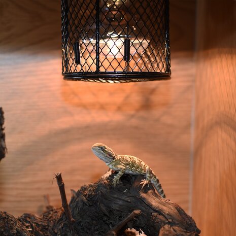 Habistat Heizschutz für Terrarium Rund 12x16cm