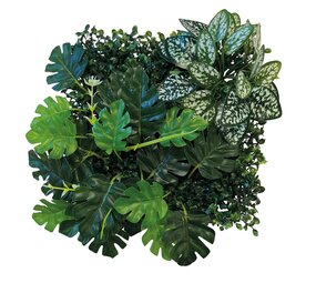 Repto Terrarium Rückwand Pflanzenmatte 3 25x25cm